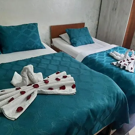 Kavak Evleri Homestay *